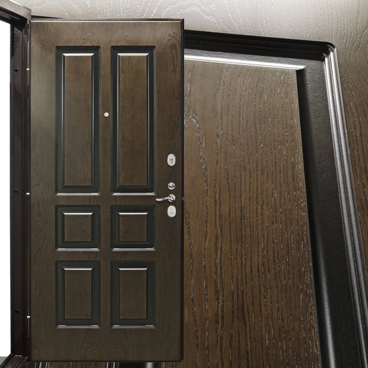 Входная дверь в частный домка – как выбрать входную металлическую дверь, советы профессионалов