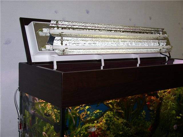 Лампа для аквариума: подбираем правильное освещение и режим светового дня