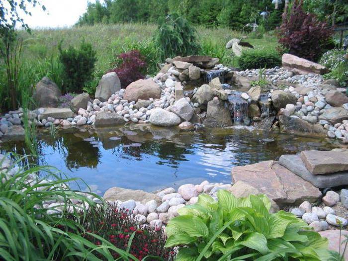 Пруд на даче своими руками (95 фото): как сделать искусственный водоем на участке, идеи ландшафтного дизайна и красивые примеры в саду около загородного дома