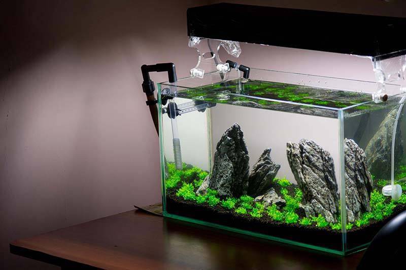 Как сделать декоративный аквариум: фото, видео