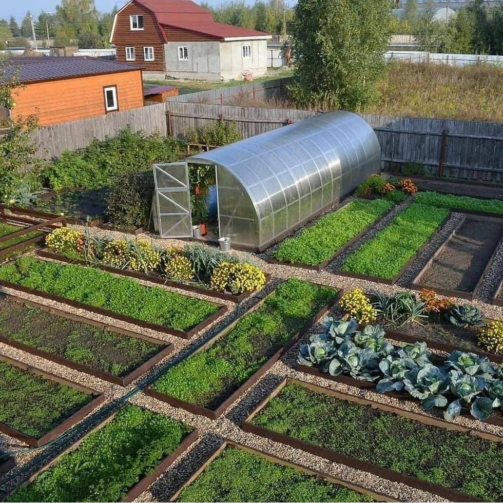 Схемы посадки овощей - сад и огород