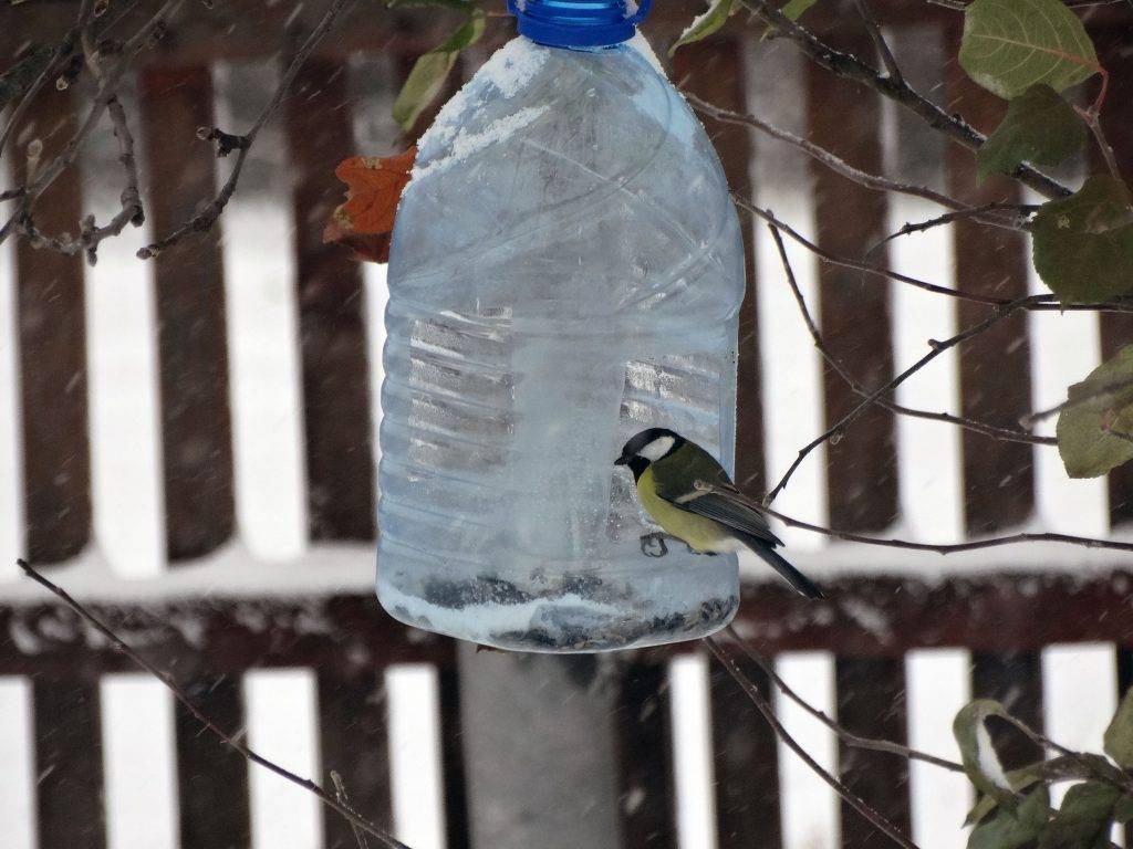 Кормушка для птиц своими руками из пластиковой бутылки (5 литров)
кормушка для птиц своими руками из пластиковой бутылки (5 литров)
