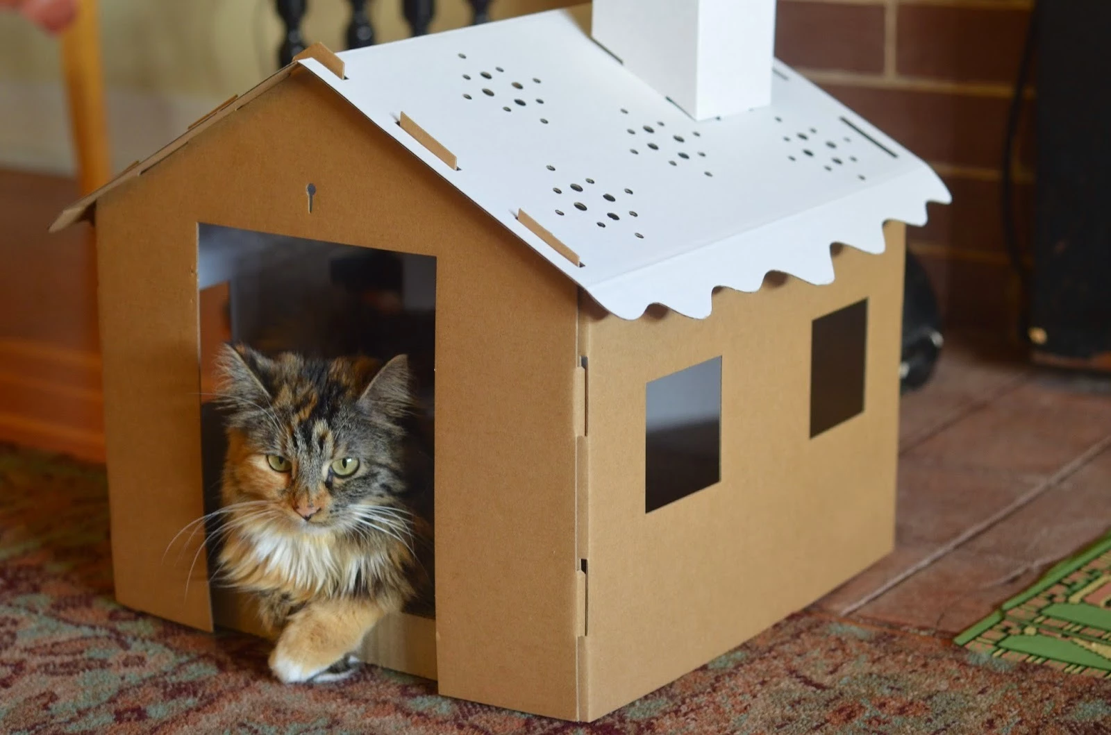 Дом для кошки и лежанки своими руками – мастер-класс