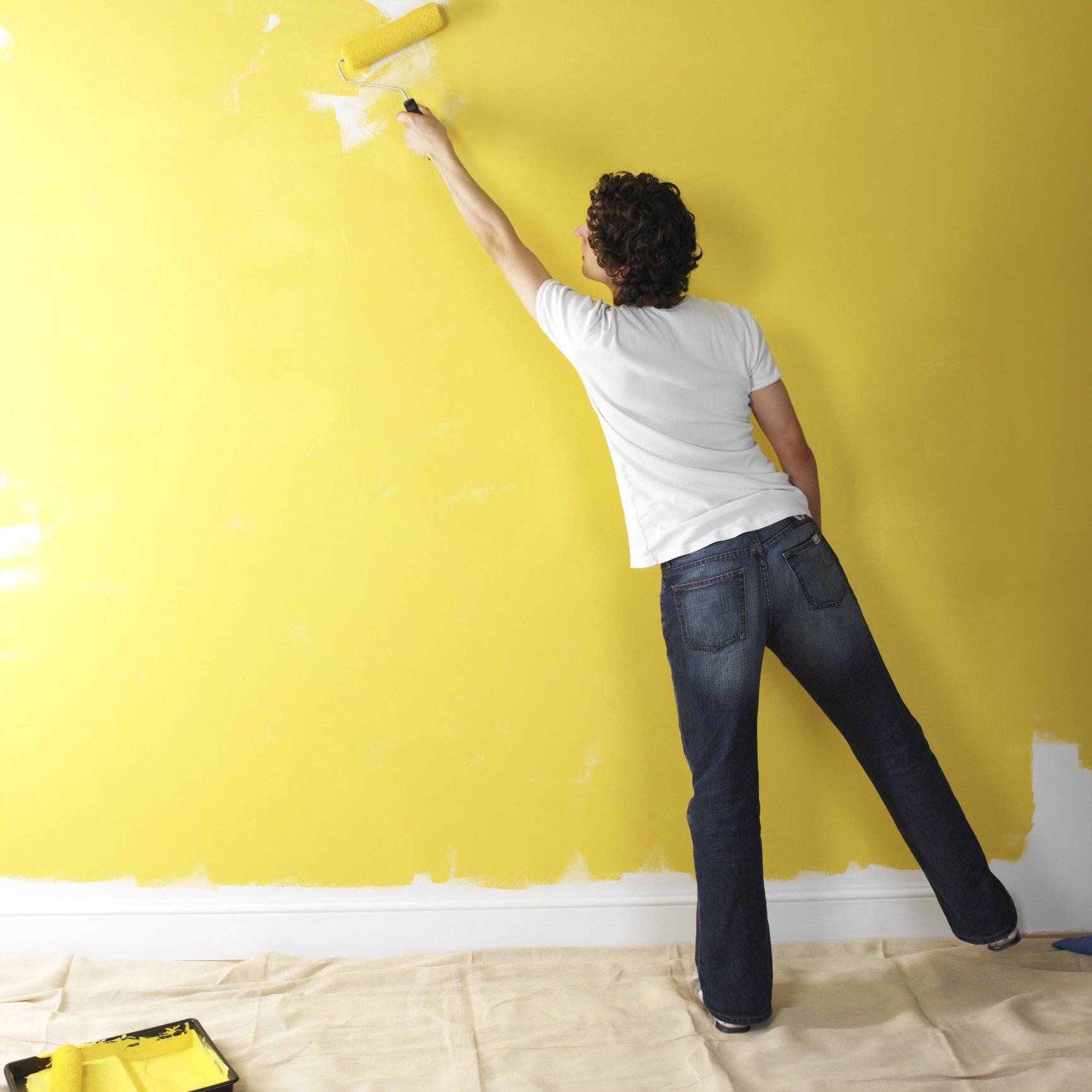 Что лучше покраска стен или обои: что дешевле клеить или красить