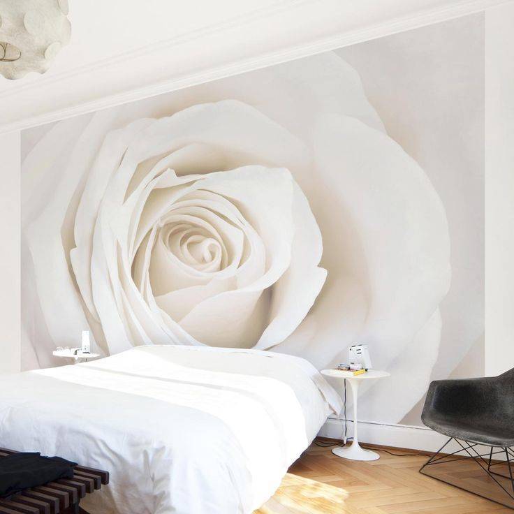 Фотообои с розами в интерьере +30 фото - «декор» » «дизайна интерьера»