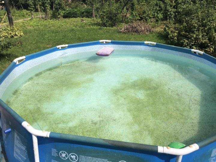 Зеленеет вода в бассейне: что делать с зеленой водой — статья от intex online