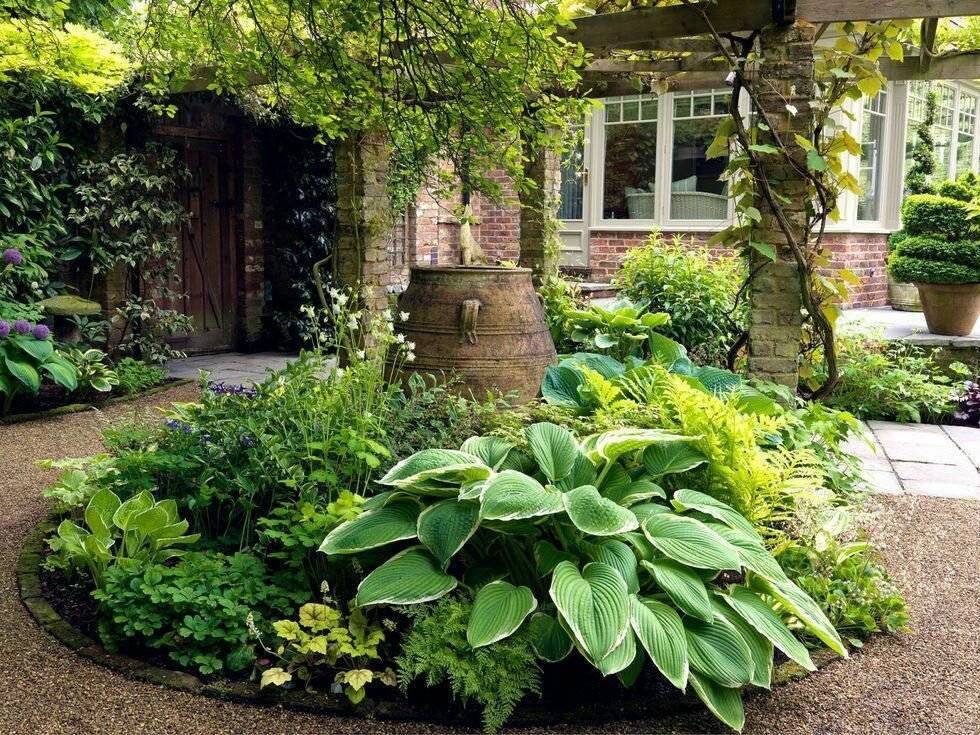 Хоста в ландшафтном дизайне в саду: как посадить хосты красиво, клумбы с хостой