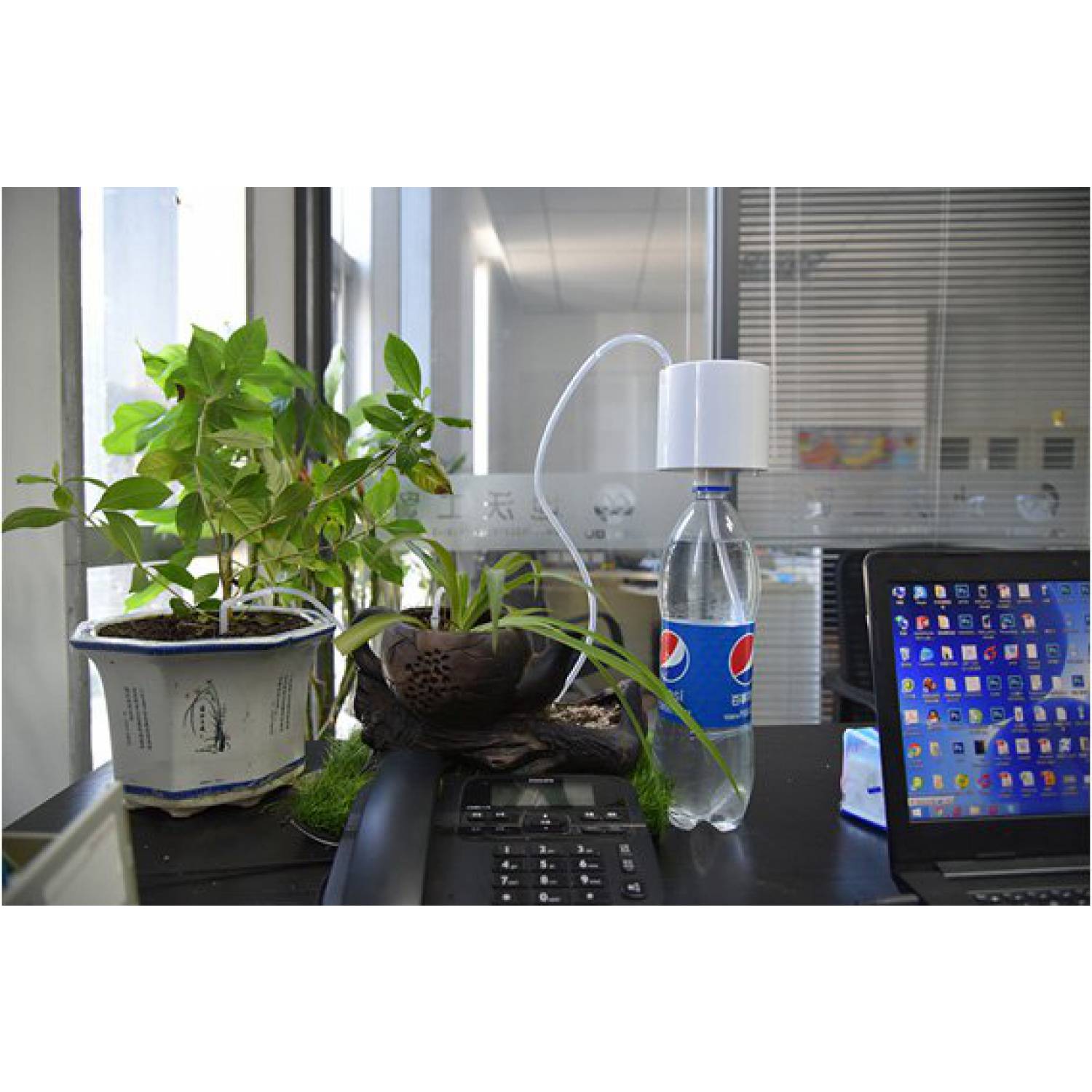 Система автополива для комнатных растений – организация самостоятельного поступления воды своими руками
