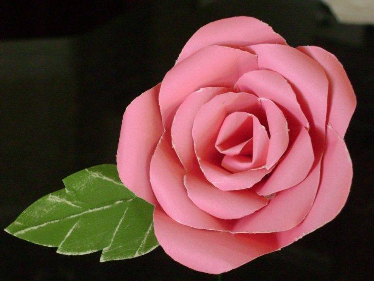 Как сделать розу из бумаги — поэтапный мастер класс создания оригами цветка для начинающих
