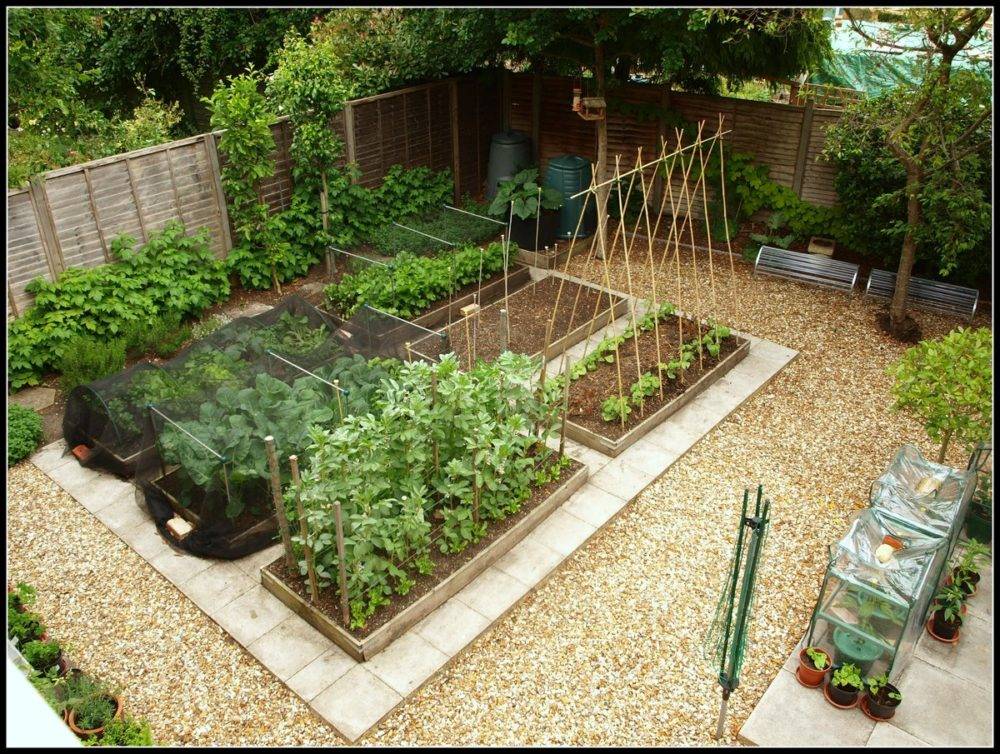 Ландшафтный дизайн дачного участка 10 соток (77 фото):  примеры и проекты оформления садового участка квадратной формы
