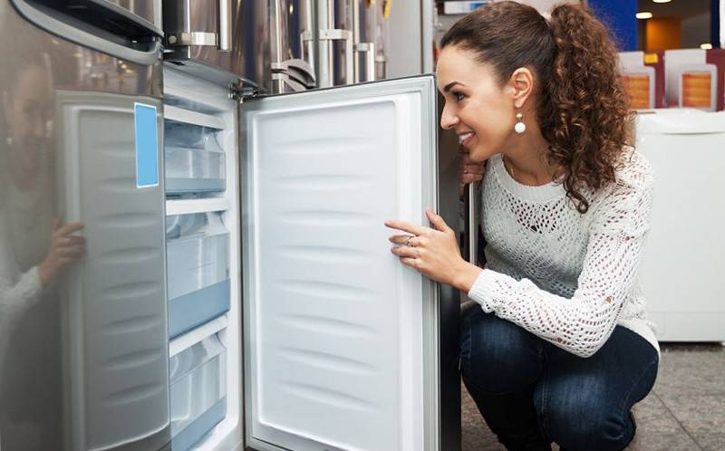 Какой холодильник лучше выбрать: рейтинг и отзывы специалистов