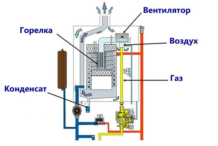 Принцип работы двухконтурного газового котла: классификация приборов