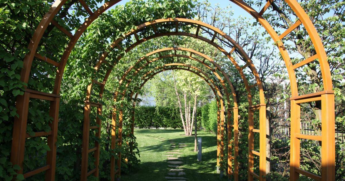 Садовая арка своими руками: 125 фото лучших идей и красивого дизайна