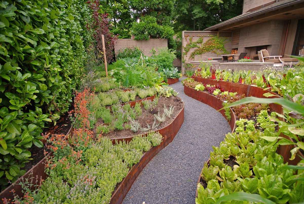 Декоративный огород с грядками в ландшафтном дизайне, фото