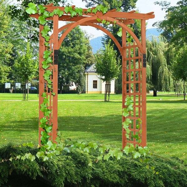 Арки для винограда (36 фото): из металла и дерева. как сделать своими руками из пластиковых труб? размеры садовых арок