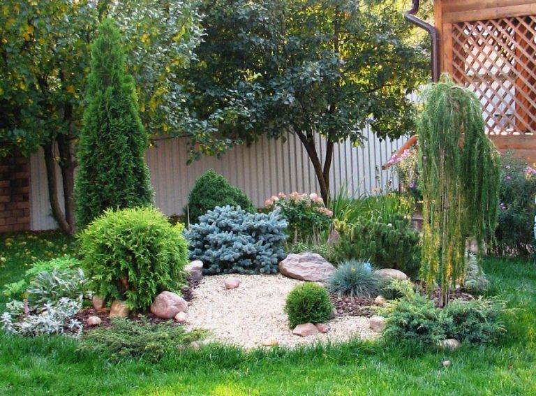 Хвойные композиции в ландшафтном дизайне сада: подбор растений + основы зонирования