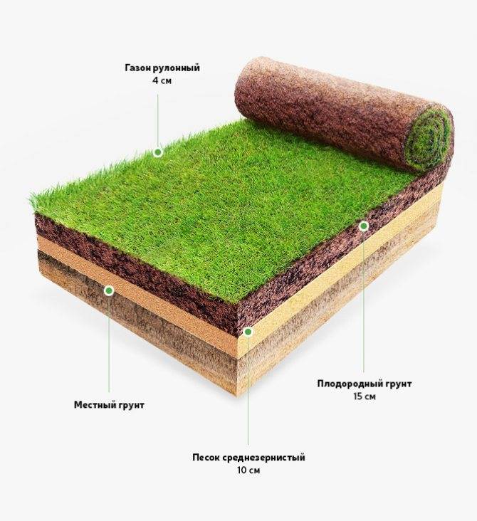 Технология и этапы укладки искусственного газона