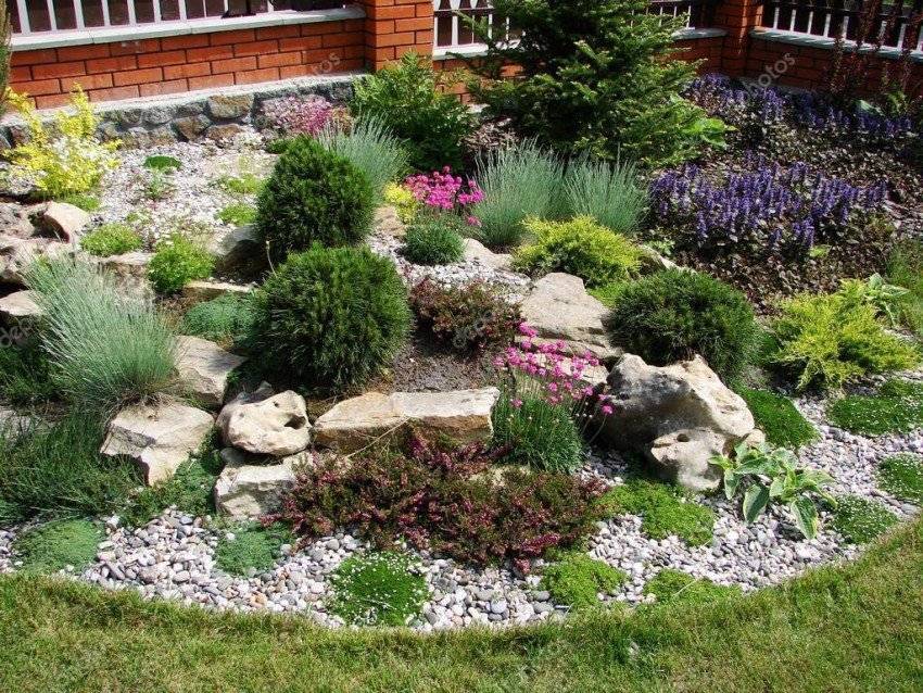 «каменистый сад» или рокарий в ландшафтном дизайне