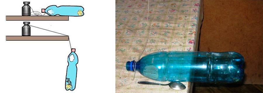 Как сделать мышеловку своими руками из пластиковой бутылки