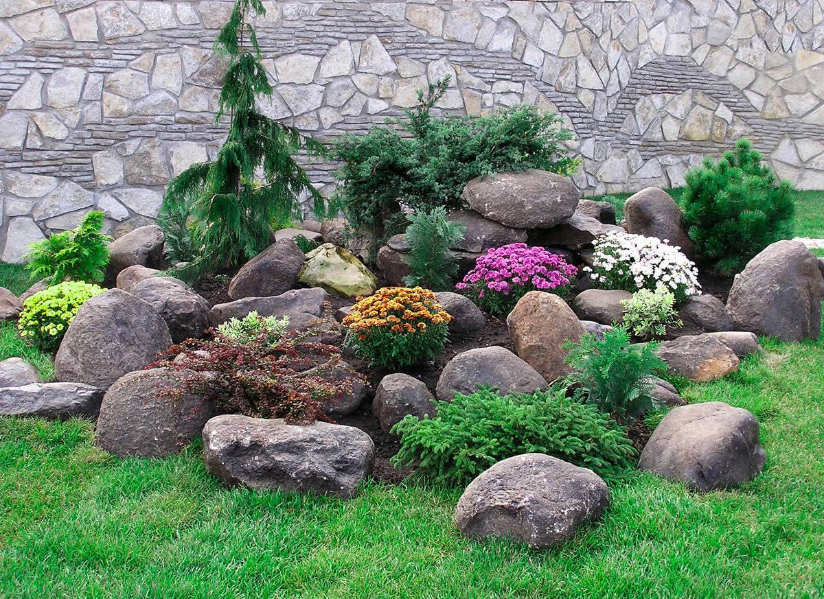 Альпийская горка - 84 фото самого популярного растения для дизайна