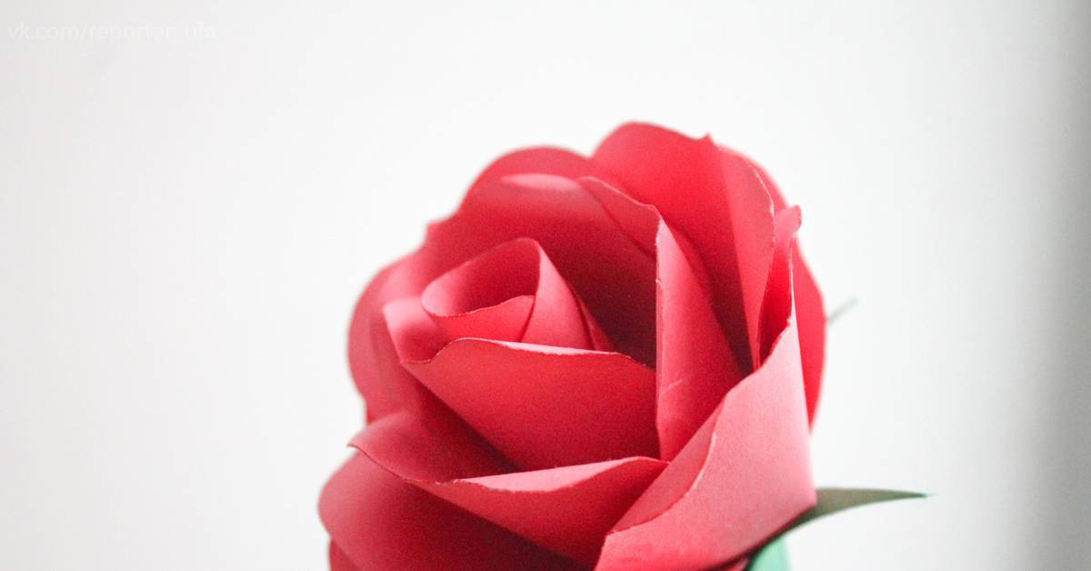 Как сделать розу из бумаги своими руками в разных стилях: пошаговые инструкции с фото и видео мастер-класса