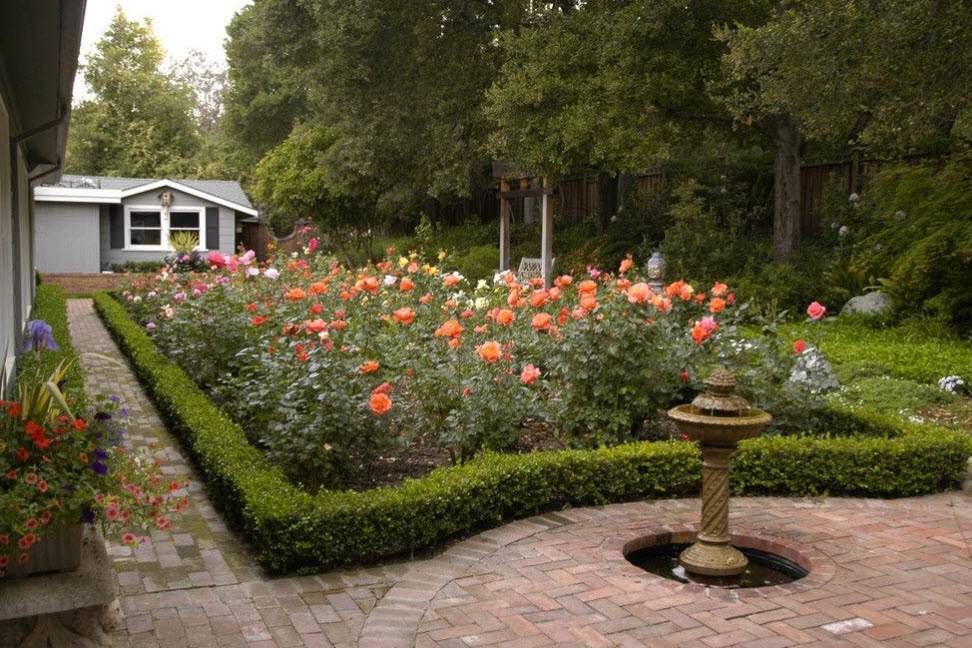 Ландшафтный дизайн с розами на участке или в саду, фото красивых вариантов
