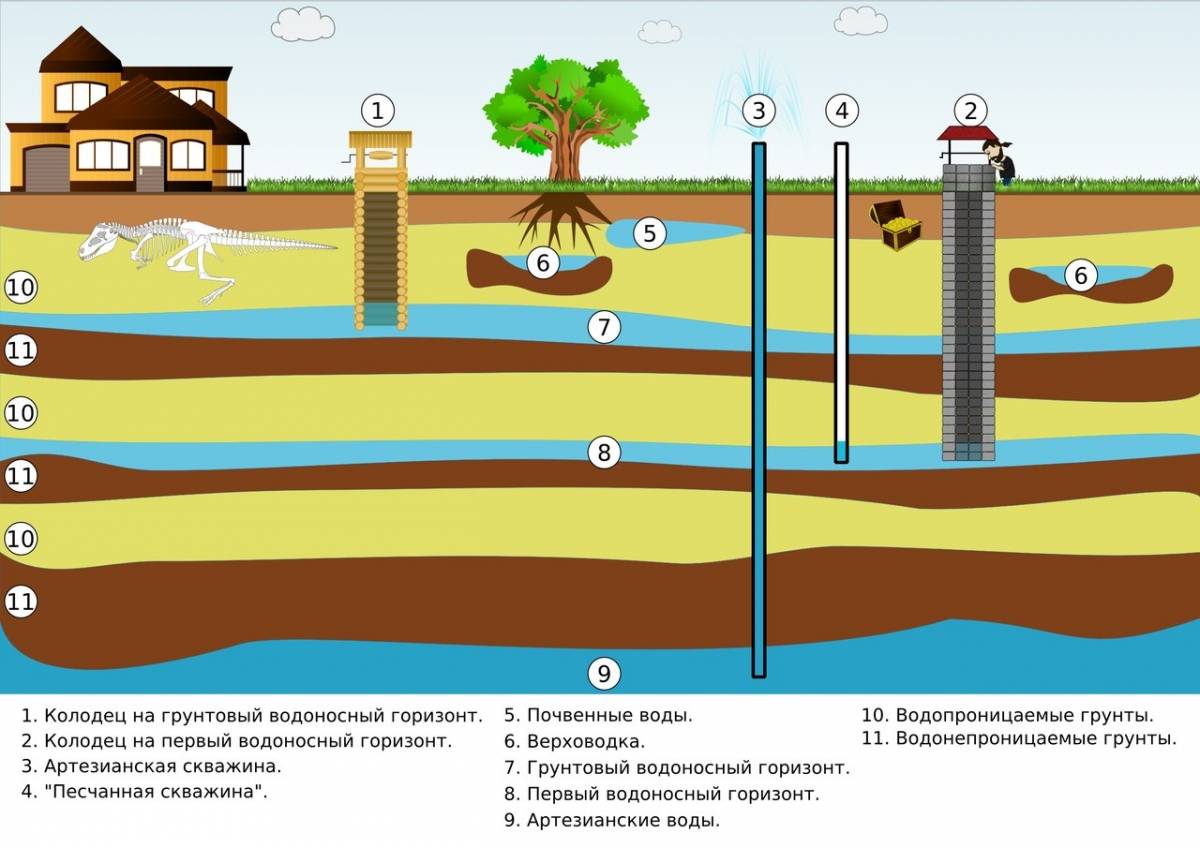 Как найти воду на участке? семь способов определения местонахождение воды