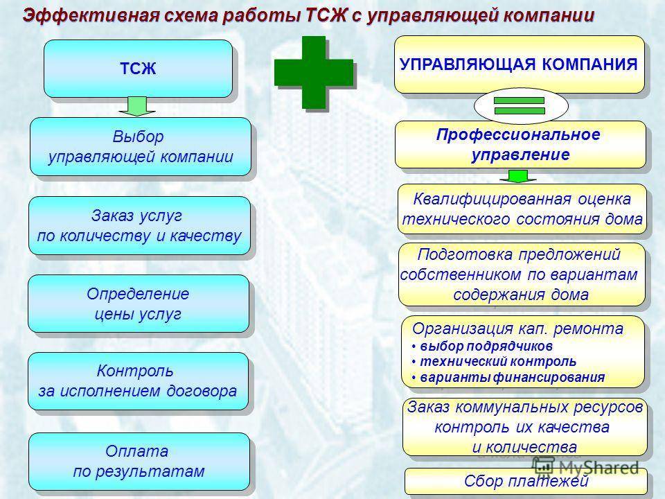 Тсж: плюсы и минусы, чем отличается от управляющей компании, что лучше и выгоднее