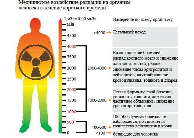 Дозиметр радиации, измерение в зивертах или рентгенах