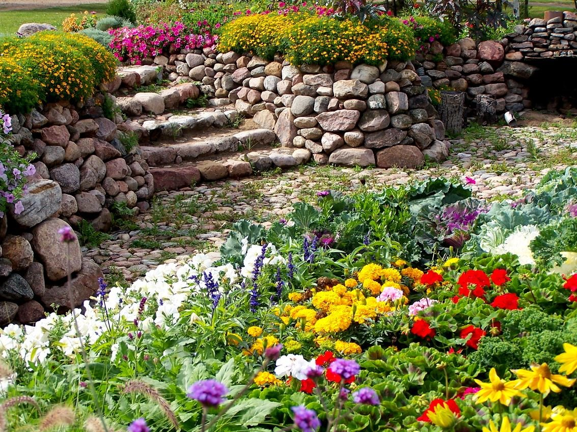 Растения для альпийской горки: самые популярные, цветущие, многолетние и хвойные
