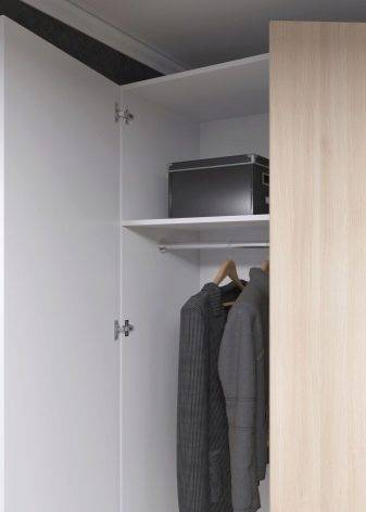 Фотографии идей дизайна шкафа с распашными дверями и глубиной 40 см