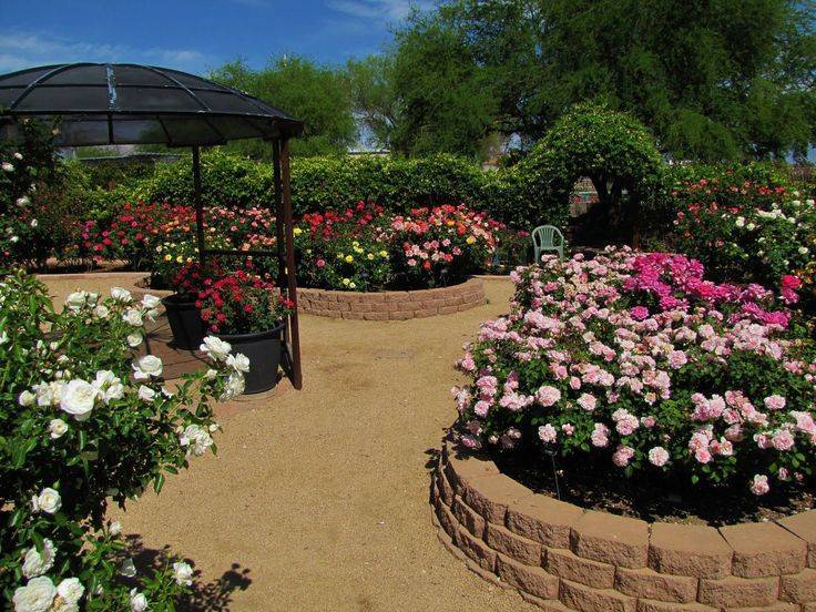 Цветы в ландшафтном дизайне (76 фото): розы, гортензии и ирисы на клумбах в саду, флоксы и обриета в оформлении дачного участка