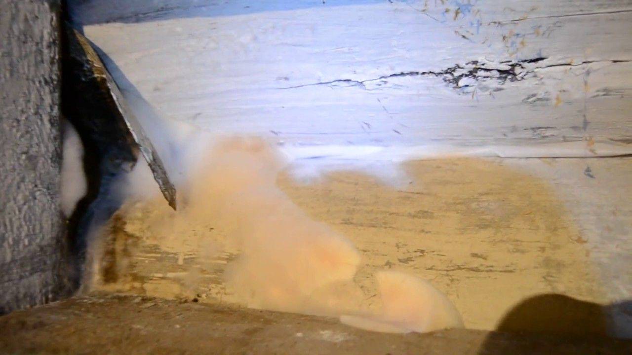 Белая плесень - как избавиться от плесени в погребе или подвале, способы обработки от грибка
