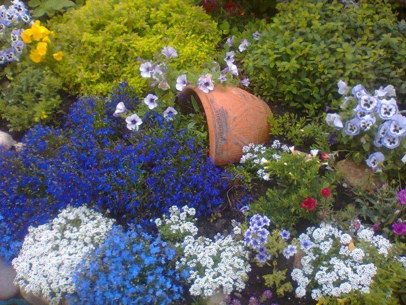 Цветы в ландшафтном дизайне (76 фото): розы, гортензии и ирисы на клумбах в саду, флоксы и обриета в оформлении дачного участка