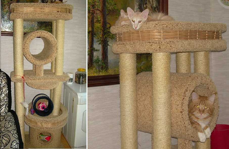 Домик для кошки своими руками | блог ветклиники "беланта"
